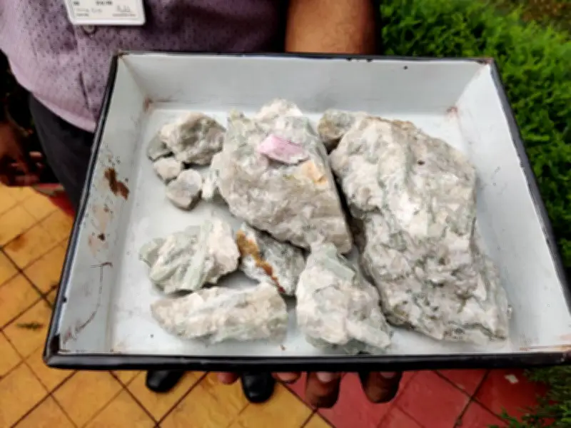 米EU、重要鉱物巡り行動計画策定 中国念頭に貿易措置で対抗