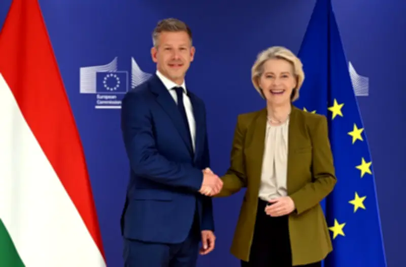 ハンガリー次期首相とEU首脳が会談、就任前の異例の協議