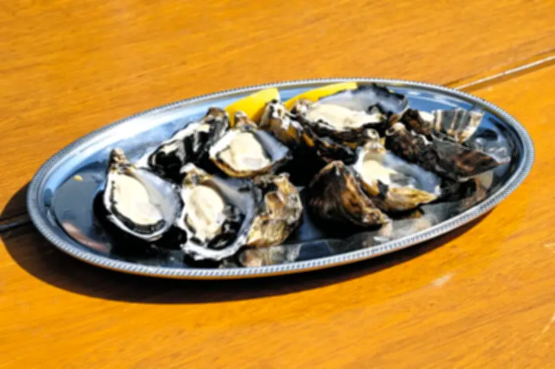 愛知・蒲郡にカキ味わえる新施設「Gamagori Oyster Dock」5月5日オープン