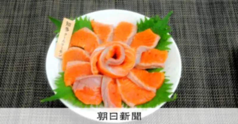 LNG気化時の冷海水活用、東邦ガスのサーモン陸上養殖が事業化2年目へ