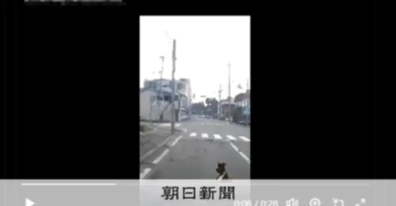 SNSで拡散する地震フェイク動画　能登半島地震映像を流用、政府が警戒呼びかけ