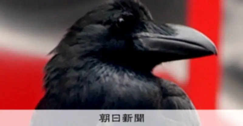 新幹線「はやぶさ」VSカラス、巣作りで停電多発 AIやロボット「ドクターS」が助っ人に