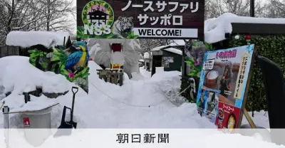 ノースサファリ運営会社と前社長を略式起訴 都市計画法違反など20年に及ぶ違法建築