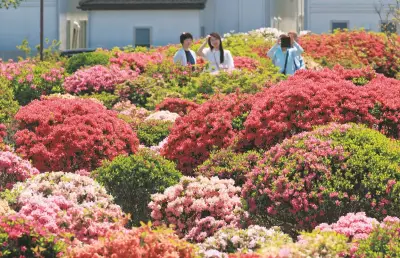 関東で夏日続く、東京都心25.6℃ 世田谷区ではツツジ満開