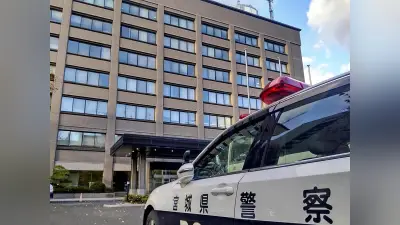 寛永行幸400年、二条城の極彩色唐門が江戸の華やぎを今に伝える