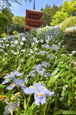 福島県沖で地震、最大震度5弱 津波の心配なし
