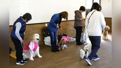 愛媛県警が導入「嘱託セラピー犬」、犯罪被害者や遺族の心を癒やす活動5年で約80回の貢献