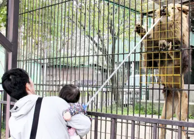 福島県、AI活用した農業支援システムを本格導入へ