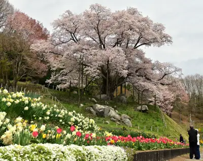 福島県の新たな観光戦略、デジタル技術を活用した魅力発信を強化