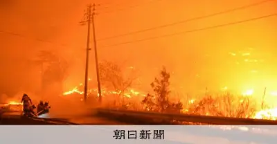 岩手・大槌の山林火災、昨年の大船渡と比較 共通点と相違点を解説