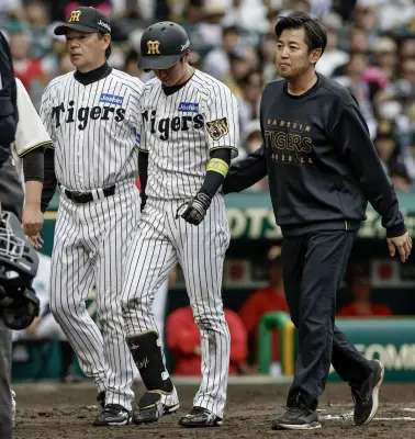 阪神・近本光司が死球で左手首骨折、長期離脱の可能性