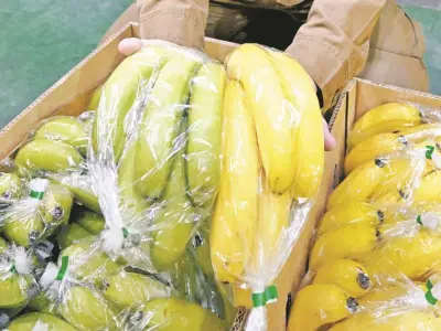 ホルムズ海峡封鎖で食卓に危機？ナフサ不足がバナナやガムに影響の可能性