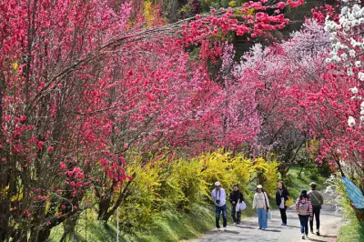 福島県の新たな観光プロジェクト、再生可能エネルギーを活用した持続可能な観光地を目指す