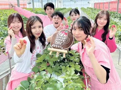 福島大生が「合格祈願イチゴ」開発 逆境を乗り越える甘さで受験生応援