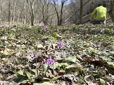 福島県の新たな観光戦略、地域活性化へ向けた取り組みを強化