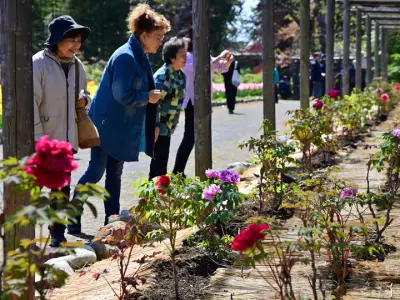 福島県で新たな避難指示解除へ　復興庁が特定復興再生拠点区域の整備計画を発表