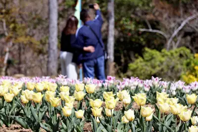 福島県いわき市で新たな太陽光発電所が稼働開始、再生可能エネルギー拡大へ