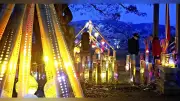 佐賀県基山町の若宮八幡神社、竹灯籠160本が幻想的な光の世界を演出