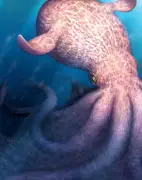 白亜紀の巨大タコ、全長最大19メートル 北海道大など発表