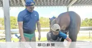 馬の「第2の心臓」ひづめを支える装蹄師を目指す17歳 北海道の高校生が語る決意