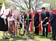 猪苗代で日ポ友好のシダレザクラ植樹 国際親善記念祭22回目