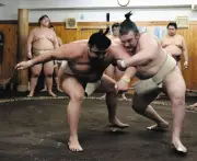 大関安青錦、骨折から復帰へ霧島と熱戦　出稽古で2勝2敗