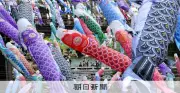 杖立温泉で春風に舞う3000匹の鯉のぼり カラフルな景色が観光客を魅了