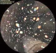 福島県で震度4の地震、津波の心配なし