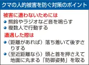 福島県でクマ目撃情報が急増、過去5年で最多の33件に 専門家が行動変化を指摘
