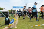愛知で介助犬支援の慈善マラソン開催、620人が新緑の庄内緑地公園を駆ける