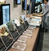 川崎市役所で企画展示、身近な自然や生物多様性を紹介