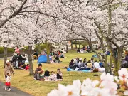 福島県の新たな観光戦略、地域活性化へ向けた取り組みを強化