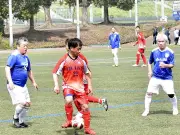 福島県で大規模な太陽光発電所が稼働開始、再生可能エネルギー拡大へ新たな一歩