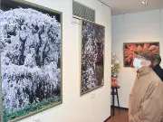 福島県の新たな観光名所「ふくしまの森」がオープン、地域活性化に期待