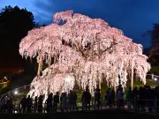 福島県で新たな避難指示解除へ 復興庁が方針を発表、住民帰還を後押し