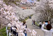 福島県の新たな観光戦略「ふくしま未来ツーリズム」が始動、復興から持続可能な地域づくりへ