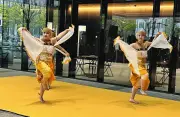 川崎でアジアの食と音楽を楽しむフェスタ開催、多文化共生の街を体感