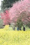 福島県で新たな放射性物質の検出、県民の健康影響調査を強化へ