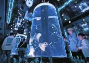 マクセルアクアパーク品川でクラゲと初夏の花々の幻想コラボ、GW展示開始