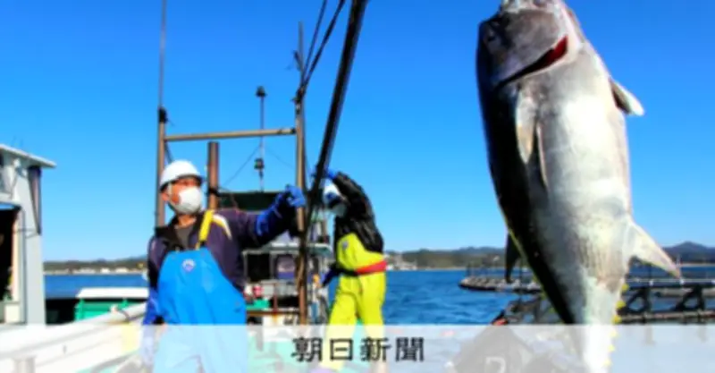 ふるさと納税の返礼品にクロマグロ1本、解体は受け取り側で 鹿児島・瀬戸内町