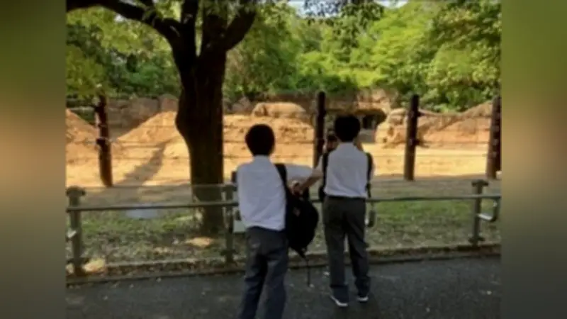 上野学園中1、上野動物園でフィールドワーク ゾウやクマを観察