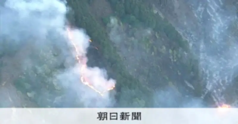 津市の山林火災、延焼続き鎮火のめど立たず　約10ヘクタール焼損