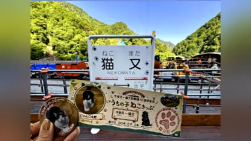 愛猫プリント「うちの子ねこきっぷ」黒部峡谷鉄道が猫又駅開通100年記念でプレゼント