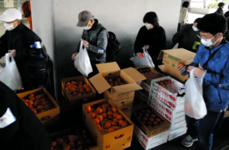 都庁前の食品配布会、利用者が初の1000人超え 物価高で生活苦深刻化