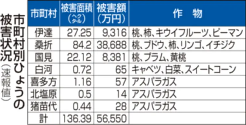 福島県のひょう被害、過去10年で2番目の規模 総額5.6億円、桃が中心