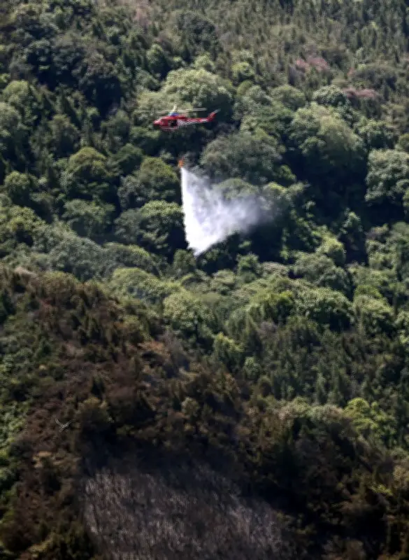広島・福山の山林火災が鎮圧、約15ヘクタール焼損も人的被害なし