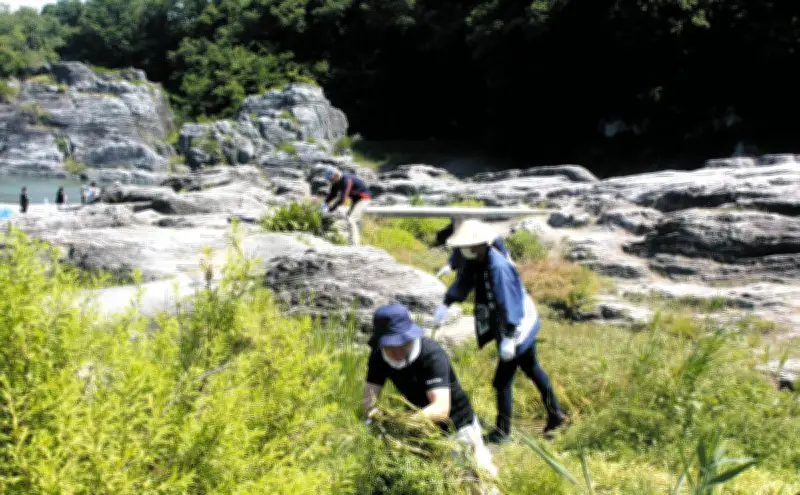長瀞の天然記念物「岩畳」を次世代へ、地元住民ら180人が草木伐採の清掃活動