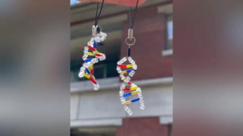 同志社中1生がDNA模型作りに挑戦、高校生物を先取り学習
