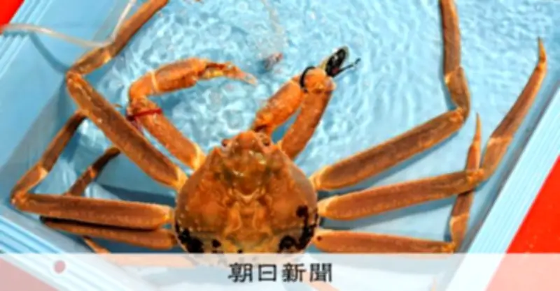 カニは元々前歩きだった？2億年前の進化の謎を日米台が解明