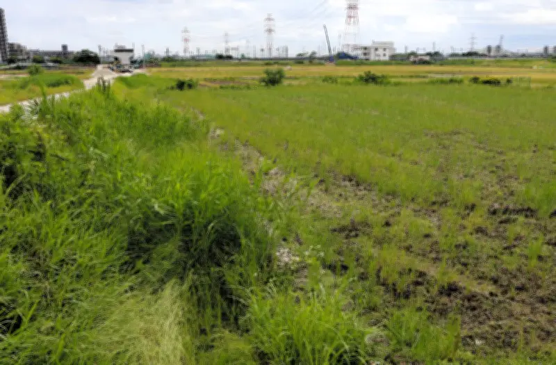 中日ドラゴンズ2軍誘致、愛知県刈谷市も名乗り 候補地は逢妻駅北西の田園地帯
